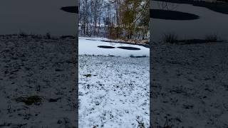 #winter #snow #ice #lake #forest #nature #naturelover #naturesounds #relax #shorts #shortsvideo