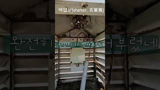 백엽상 점검 결과 교체해야 #시설관리 #전기기사 #기계설비유지관리자