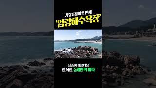 기장 8경 둘러보기임랑해수욕장 편