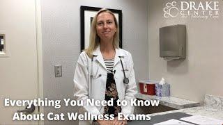 Everything You Need to Know About Cat Wellness Exams