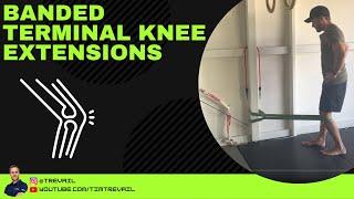 How to perform the banded Terminal Knee Extension (TKE) exercise | Knee Pain