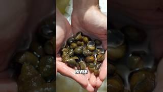 Invasive dealt with alternative measure