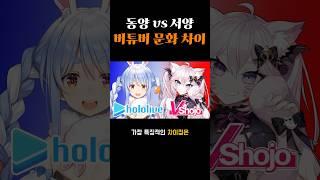 동양과 서양의 버튜버 문화 차이점
