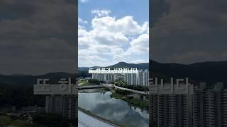 하루하루 잘도 지나간다! 벌써 올해 반이 지나고 있네요. .