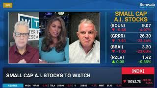 PLTR "All-Time Favorite Stock," Small Cap A.I. Names to Watch