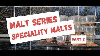 Malt Series | Speciality Malts Part 3 | Homebrew | Homebrewing | Malts