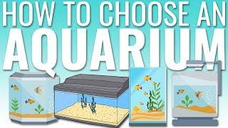 How to Choose an Aquarium | BigAlsPets.com