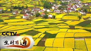 《生财有道》文旅经济看中国 书记说文旅——全域旅游：美了集安 爽了舌尖 20190719 | CCTV财经