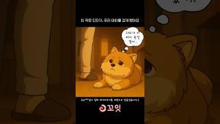 양쪽 다리가 아픈 포메의 기적적인 회복 이야기!