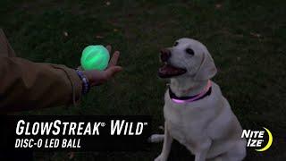 GlowStreak® Wild™ Disc-O LED Ball