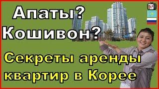 Жилье в Корее | Как найти квартиру | Подробно про недвижимость | Кореяда пәтерді қалай жалдайды?