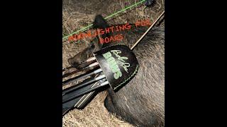 MOONLIGHTING FOR BOARS///Traditional bowhunting///hog hunting with a longbow