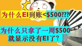 加拿大疫情福利: 为什么新EI到账小于$500每周 | 没什么今天拿了$500EI就显示报表结束了？NO ACTIVE CLAIM？？？| EI转CERB Q&A |婷婷谈钱 I'm Tingting