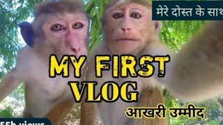 @misterd.g.59 //#my_first_vlog_on_youtube_2022/viral please video