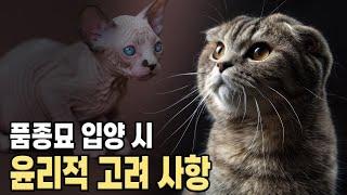 고양이 품종과 윤리적인 고려사항.