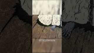 Самый СТРАШНЫЙ мультфильм СССР!