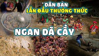 Quanglinhvlogs || "Ngan Dã Cầy" Người Dân Bản Lần Đầu Được Thưởng Thức Và Cảm Nhận.