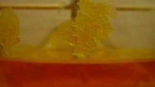 Space Age Crystals Growing Time-lapse
