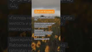 Дуа из Корана. #аллах #субханаллах #исламскиевидео #намаз #исламскиелекции #хадисы #вера #коран