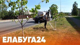 Новости Елабуги от 7 июля 2023