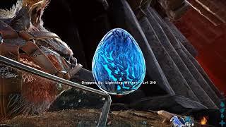 Maewings are busted! Wyvern egg grabbing made easy!