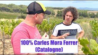 Road Trip #5 - Clot de les Soleres - Carles Mora Ferrer - Catalogne - Reportage