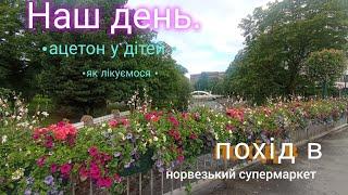 Ацетон у донечки  ліків немає.  Похід до норвезького супермаркета скільки ми платимо за дім