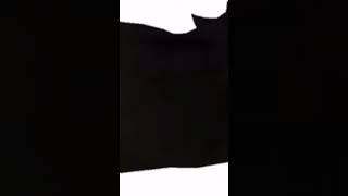 Maxwell #popular  #shorts