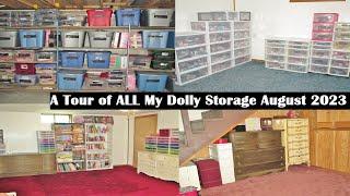 A Tour of ALL My Dolly Storage August 2023