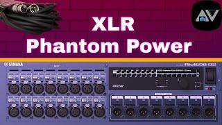 XLR Phantom Power: How to Detect and Fix Issues Like a Pro