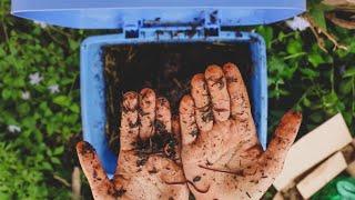 Como Hacer Humus de Lombriz en un Cubo de Basura - Un Paso Hacia Mejorar la Fertilidad de tu Tierra