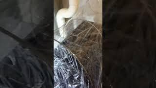 как сделать рассадник своими руками.