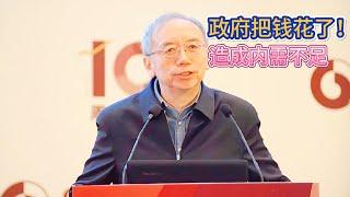 王小鲁：政府挥霍掉了人民财富！苦谏12年，中国经济走到晚期！