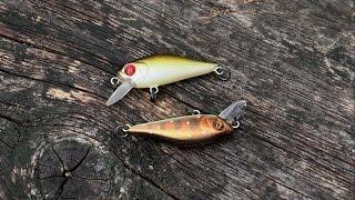 Cheerful fishing lure for perch & trout: bright vs dark underwater attacks. Рыбалка форель и воблер.