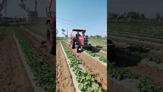 agriculture farming technology ‍#agriculture