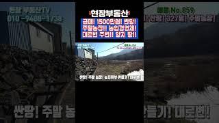 1500만원 싼땅 농지 급매 주말농장 #sorts #주말농장 #급매 #싼땅 #농사 #대로변