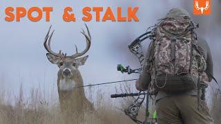 Spot and Stalk Deer on The Plains | The Element