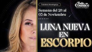 Luna nueva en Escorpio - Tránsitos astrológicos del 28 al 3 de noviembre