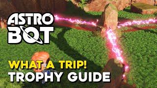 Astro Bot What A Trip! Trophy Guide