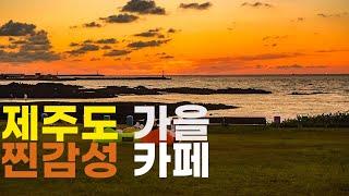 제주도여행 TOP 4 카페 / 베이커리 추천   가을에 제주도 가는 분들 이 영상 보고 가세요 