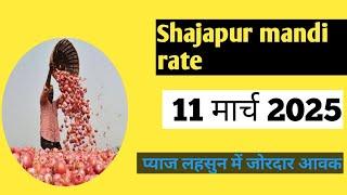 शाजापुर मंडी भाव प्याज रिपोर्ट | 11 मार्च 2025  | Shajapur Mandi Bhav pyaj rate today #agriculture