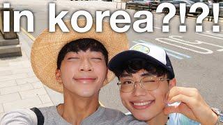 being gay in south korea...