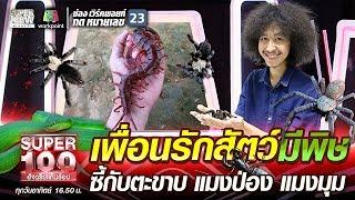 โจโฉ เพื่อนรักสัตว์มีพิษ ซี้กับตะขาบ แมงป่อง แมงมุม | SUPER 100