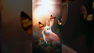 Beautiful rabbit in Garden | made by ai | ai shorts | ai animation | ai cartoons | #shorts