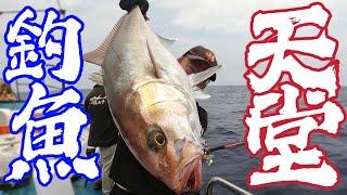 一天釣200多斤！釣魚人的天堂！鐵板聖地-油管北