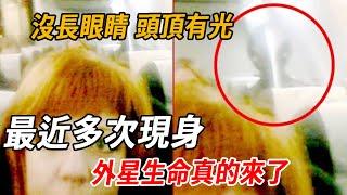 乘客拍到外星人！沒有眼睛頭頂有光，美國NASA發出通知：最近頻繁現身，要小心被綁架！| 腦補大轟炸