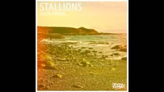 Stallions - Coastal Paradise