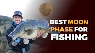 Best Moon Phase and Key Bites Times for Murray Cod Fishing (Chat with Rhys Creed & Jakko Davis)