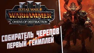 ПЕРВЫЙ ГЕЙМПЛЕЙ СОБИРАТЕЛЯ ЧЕРЕПОВ - TOTAL WAR WARHAMMER 3 | OMENS OF DESTRUCTION