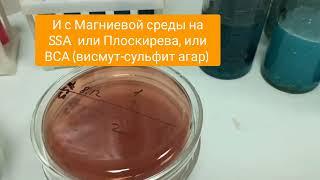 Бакпосев пищевых продуктов, общие краткие сведения